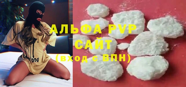 прущие грибы Волоколамск