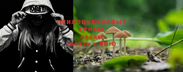 хмурый Володарск