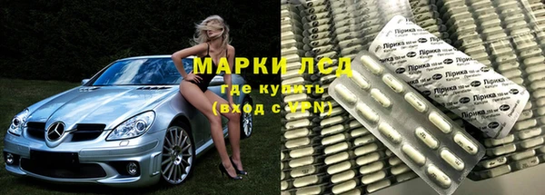 прущие грибы Волоколамск