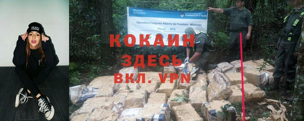 прущие грибы Волоколамск
