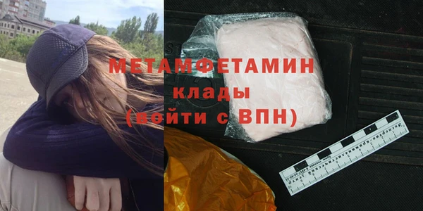 прущие грибы Волоколамск